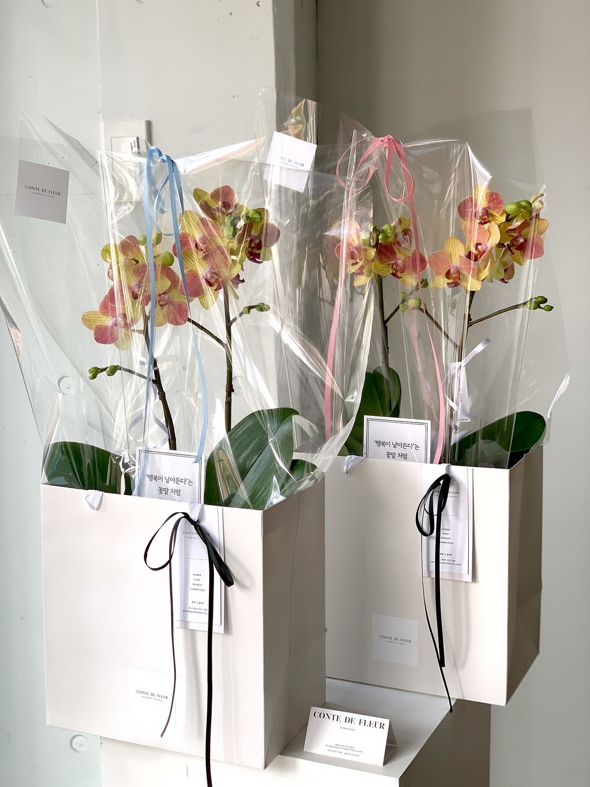 Corporate Gift